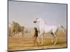 The Wellesley Grey Arabian Led Through the Desert, c.1810-Jacques-Laurent Agasse-Mounted Premium Giclee Print