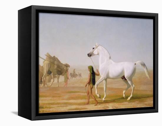 The Wellesley Grey Arabian Led Through the Desert, c.1810-Jacques-Laurent Agasse-Framed Stretched Canvas
