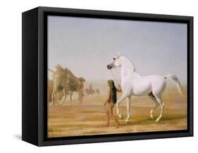 The Wellesley Grey Arabian Led Through the Desert, c.1810-Jacques-Laurent Agasse-Framed Stretched Canvas