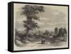 The Wellington Tree on the Field of Waterloo-null-Framed Stretched Canvas