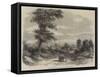 The Wellington Tree on the Field of Waterloo-null-Framed Stretched Canvas