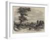 The Wellington Tree on the Field of Waterloo-null-Framed Giclee Print