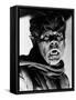 The Werewolf of London, 1935-null-Framed Stretched Canvas