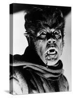 The Werewolf of London, 1935-null-Stretched Canvas