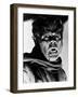The Werewolf of London, 1935-null-Framed Photographic Print