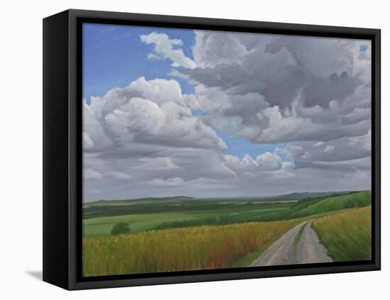 The Wessex Ridgeway Path Above Urchfont 2, 2009-Peter Breeden-Framed Stretched Canvas