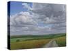 The Wessex Ridgeway Path Above Urchfont 2, 2009-Peter Breeden-Stretched Canvas