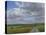 The Wessex Ridgeway Path Above Urchfont 2, 2009-Peter Breeden-Stretched Canvas