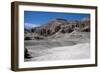The West Bank of the River Nile, Luxor West Bank, Egypt-CM Dixon-Framed Photographic Print