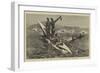 The West Coast of Africa, Fishing Canoes Off Cape Verde-Charles Edwin Fripp-Framed Premium Giclee Print