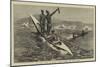 The West Coast of Africa, Fishing Canoes Off Cape Verde-Charles Edwin Fripp-Mounted Premium Giclee Print