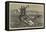 The West Coast of Africa, Fishing Canoes Off Cape Verde-Charles Edwin Fripp-Framed Stretched Canvas