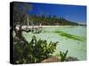 The West Coast of the Island of Boracay, off the Coast of Panay, Philippines, Asia-Robert Francis-Stretched Canvas