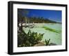 The West Coast of the Island of Boracay, off the Coast of Panay, Philippines, Asia-Robert Francis-Framed Photographic Print
