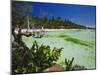 The West Coast of the Island of Boracay, off the Coast of Panay, Philippines, Asia-Robert Francis-Mounted Photographic Print