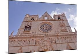 The West Front of Saint Jean-Baptiste Cathedral in Lyon, Rhone-Alpes, France, Europe-Julian Elliott-Mounted Photographic Print