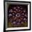 The West Rose Window, Depicting the Last Judgement-null-Framed Giclee Print