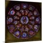 The West Rose Window, Depicting the Last Judgement-null-Mounted Giclee Print
