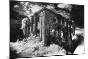 The West Wing, Castleboro House, County Wexford, Ireland-Simon Marsden-Mounted Giclee Print