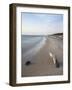 The Weststrand on the Darss Peninsula. West-Pomerania Lagoon Area-Martin Zwick-Framed Photographic Print