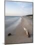 The Weststrand on the Darss Peninsula. West-Pomerania Lagoon Area-Martin Zwick-Mounted Photographic Print