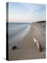 The Weststrand on the Darss Peninsula. West-Pomerania Lagoon Area-Martin Zwick-Stretched Canvas