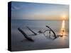 The Weststrand on the Darss Peninsula. West-Pomerania Lagoon Area-Martin Zwick-Stretched Canvas