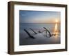 The Weststrand on the Darss Peninsula. West-Pomerania Lagoon Area-Martin Zwick-Framed Photographic Print