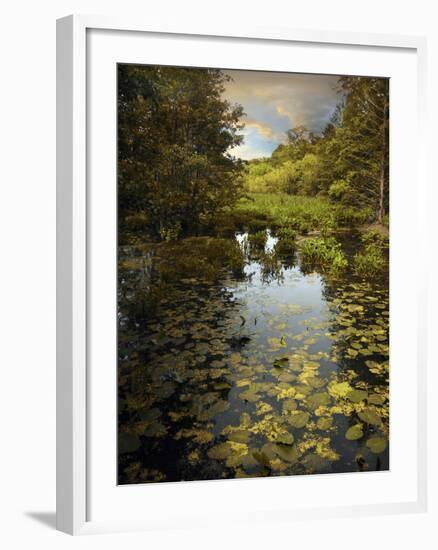 The Wetlands-Jessica Jenney-Framed Photographic Print