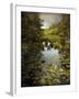 The Wetlands-Jessica Jenney-Framed Photographic Print
