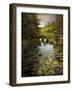The Wetlands-Jessica Jenney-Framed Photographic Print