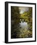 The Wetlands-Jessica Jenney-Framed Photographic Print