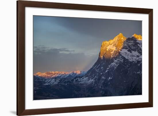 The Wetterhorn from Kleine Scheidegg, Jungfrau region, Bernese Oberland, Swiss Alps, Switzerland, E-Frank Fell-Framed Photographic Print