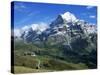 The Wetterhorn, Near Grindelwald, Bernese Oberland, Swiss Alps, Switzerland-Hans Peter Merten-Stretched Canvas
