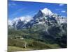 The Wetterhorn, Near Grindelwald, Bernese Oberland, Swiss Alps, Switzerland-Hans Peter Merten-Mounted Photographic Print