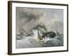 The Whale, 1836-Jean Francois Garneray-Framed Giclee Print