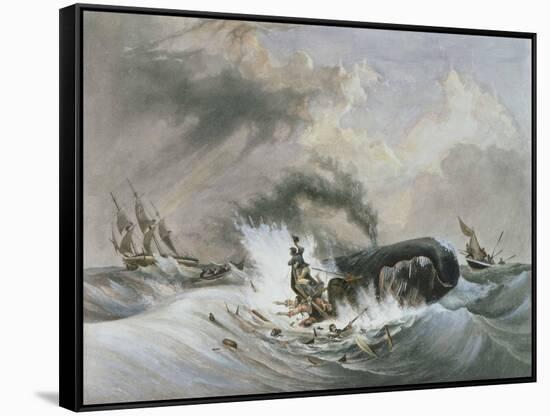 The Whale, 1836-Jean Francois Garneray-Framed Stretched Canvas