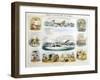 The Whale, C1850-Benjamin Waterhouse Hawkins-Framed Giclee Print