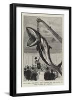 The Whale Recently Cast Ashore on the Banks of the Thames at Tilbury-null-Framed Premium Giclee Print