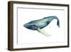 The Whale's Song I-Grace Popp-Framed Art Print