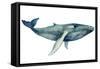 The Whale's Song II-Grace Popp-Framed Stretched Canvas