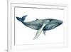 The Whale's Song II-Grace Popp-Framed Premium Giclee Print