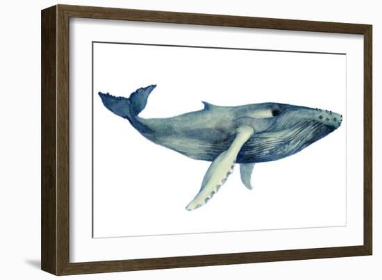 The Whale's Song II-Grace Popp-Framed Art Print