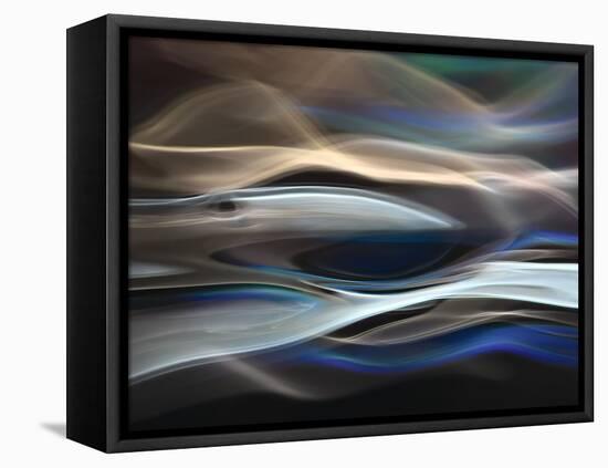 The Whale-Ursula Abresch-Framed Stretched Canvas