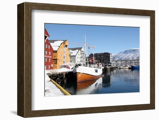 The Whaler That Used to Go to Svalbard-David Lomax-Framed Photographic Print