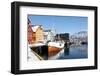 The Whaler That Used to Go to Svalbard-David Lomax-Framed Photographic Print