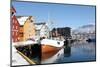 The Whaler That Used to Go to Svalbard-David Lomax-Mounted Photographic Print