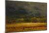 The Wheat Field, 1875-77, by George Inness, 1825-1894, American landscape painting,-George Inness-Mounted Art Print