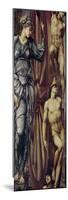 The Wheel of Fortune, 1875-83-Edward Burne-Jones-Mounted Giclee Print