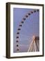 The Wheel of York at Dusk, York, Yorkshire, England, United Kingdom, Europe-Mark Sunderland-Framed Photographic Print